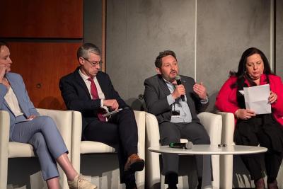 Agrandir l'image 31 sur 36, fenêtre modale